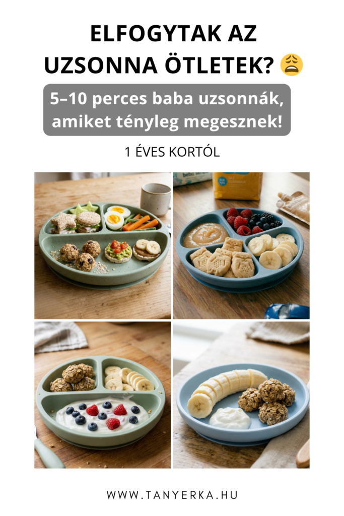 baba uzsonna ötletek 1 éves kortól szilikon tányéron gyümölccsel joghurttal és gyors falatokkal