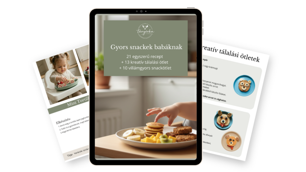 Gyors snackek babáknak ebook – 21 recept és kreatív tálalási ötletek egy helyen